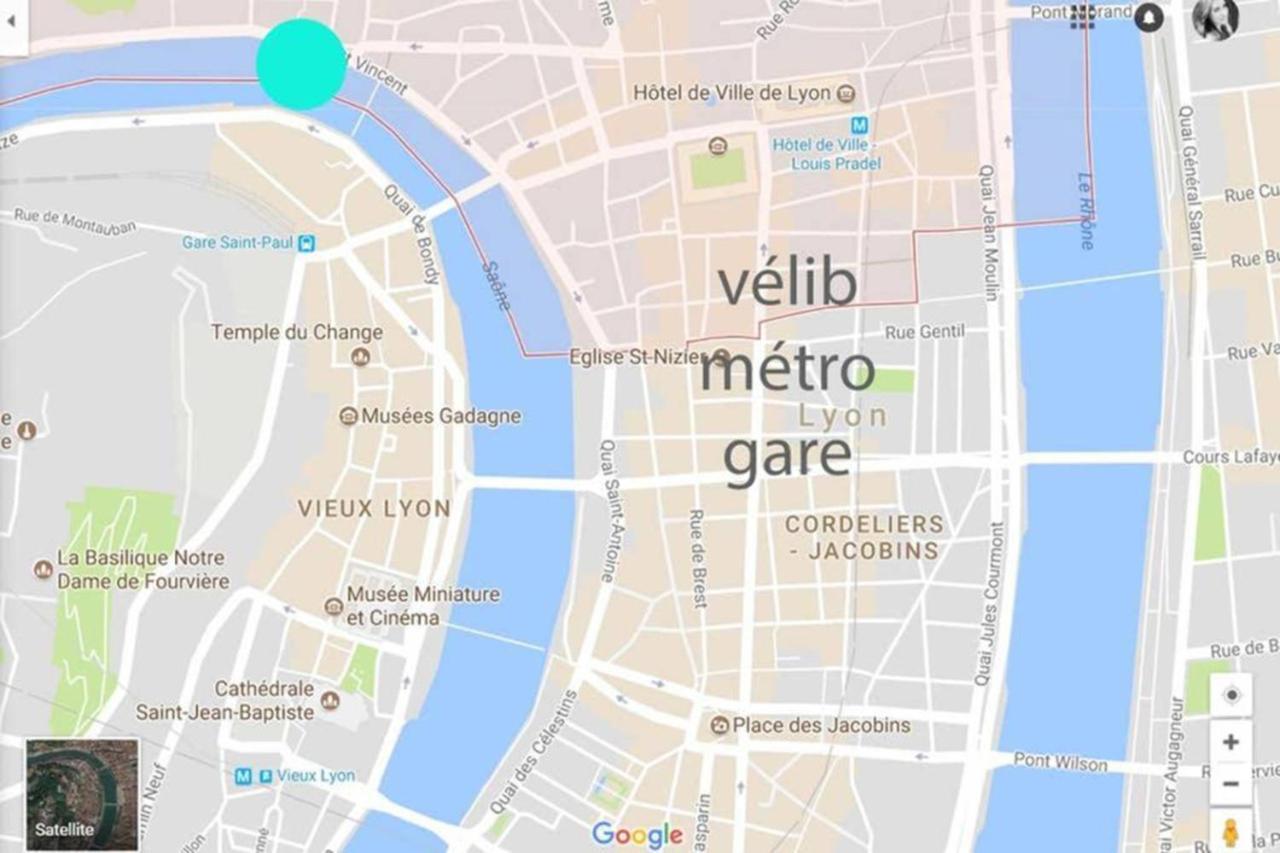 Appartement Haussmannien D'Artiste, Exception, Quai De Saone Balcon+Parking Lyon Luaran gambar
